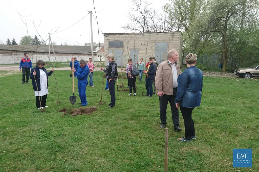 Кілька сотень дерев висадили у Володимирі-Волинському 20