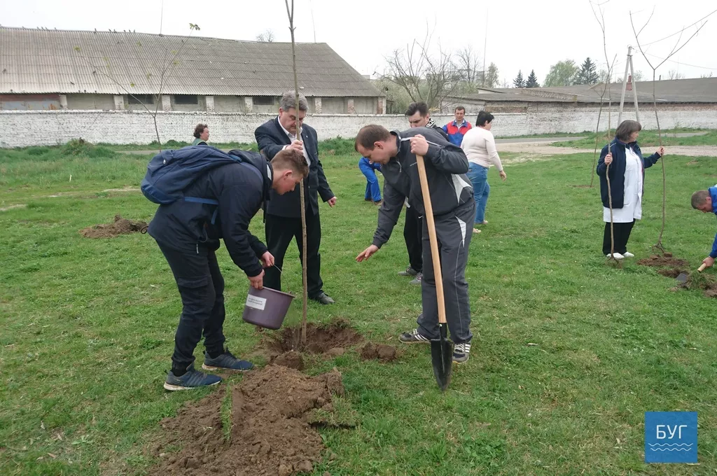 Кілька сотень дерев висадили у Володимирі-Волинському 21