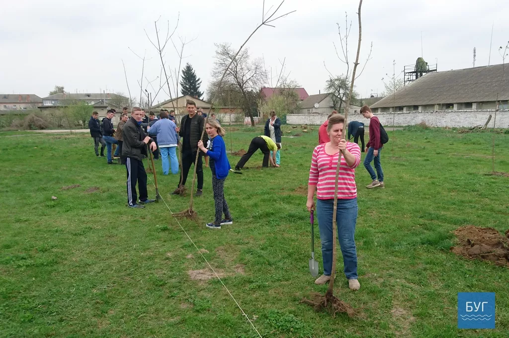 Кілька сотень дерев висадили у Володимирі-Волинському 22