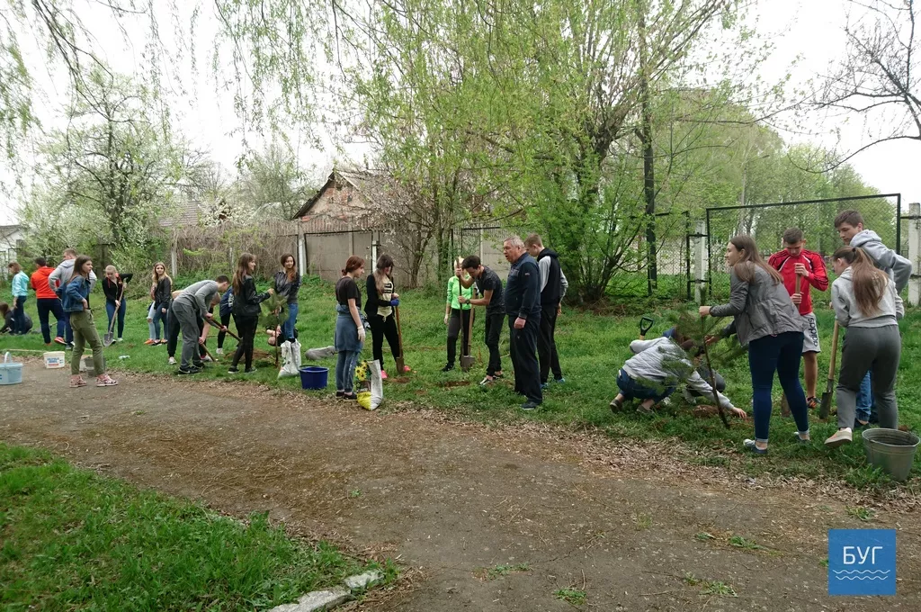 Кілька сотень дерев висадили у Володимирі-Волинському 3