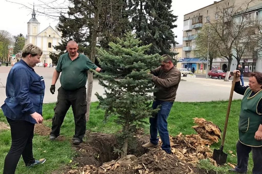 Кілька сотень дерев висадили у Володимирі-Волинському 26
