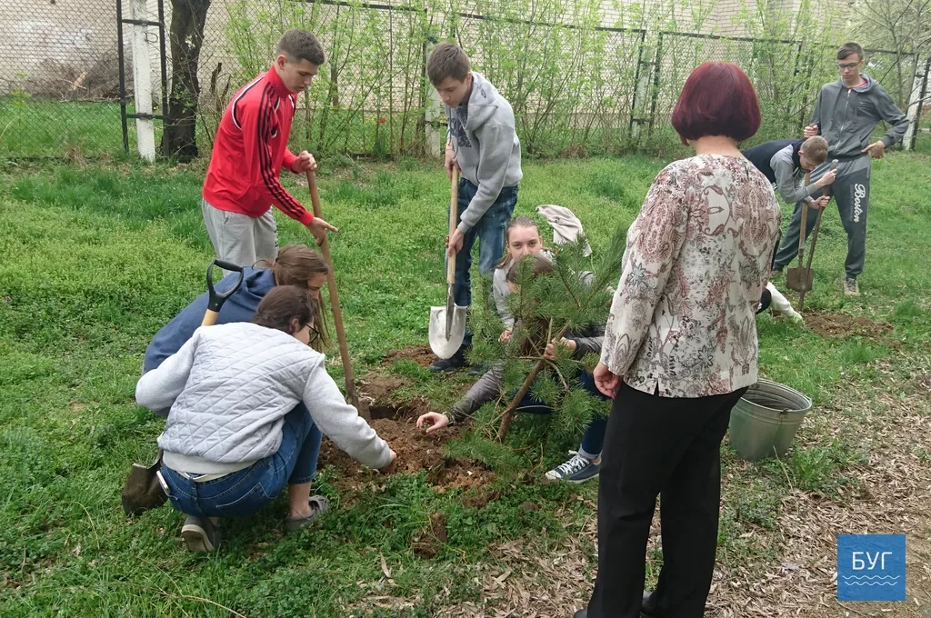 Кілька сотень дерев висадили у Володимирі-Волинському 5