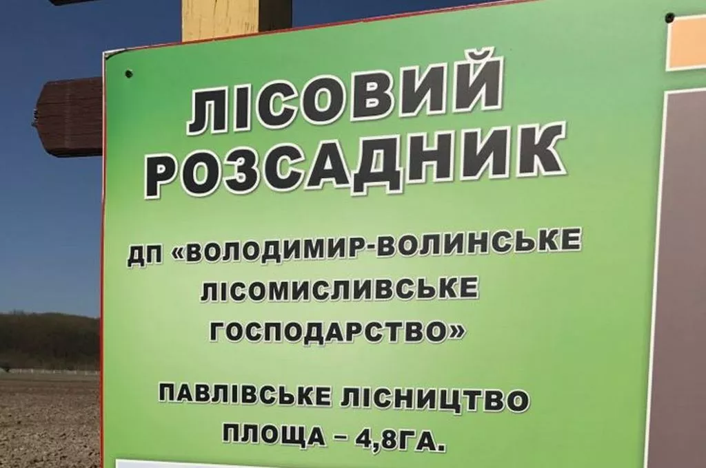 Кілька сотень дерев висадили у Володимирі-Волинському 28