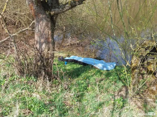 Під Луцьком авто в'їхало у річку 4