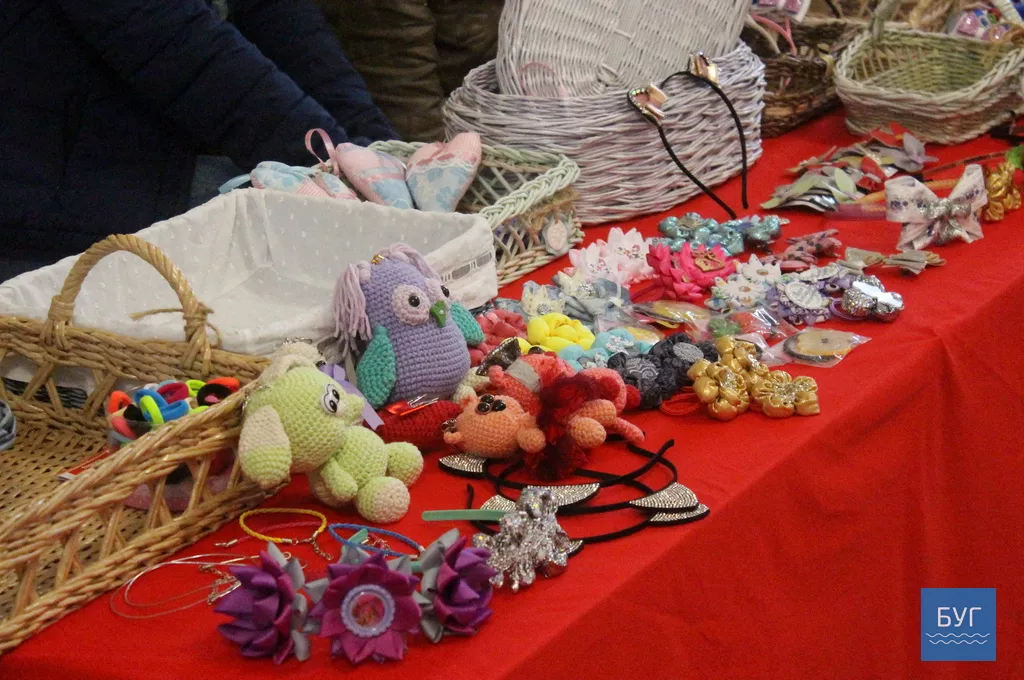 У Володимирі-Волинському відзначили День Європи 14