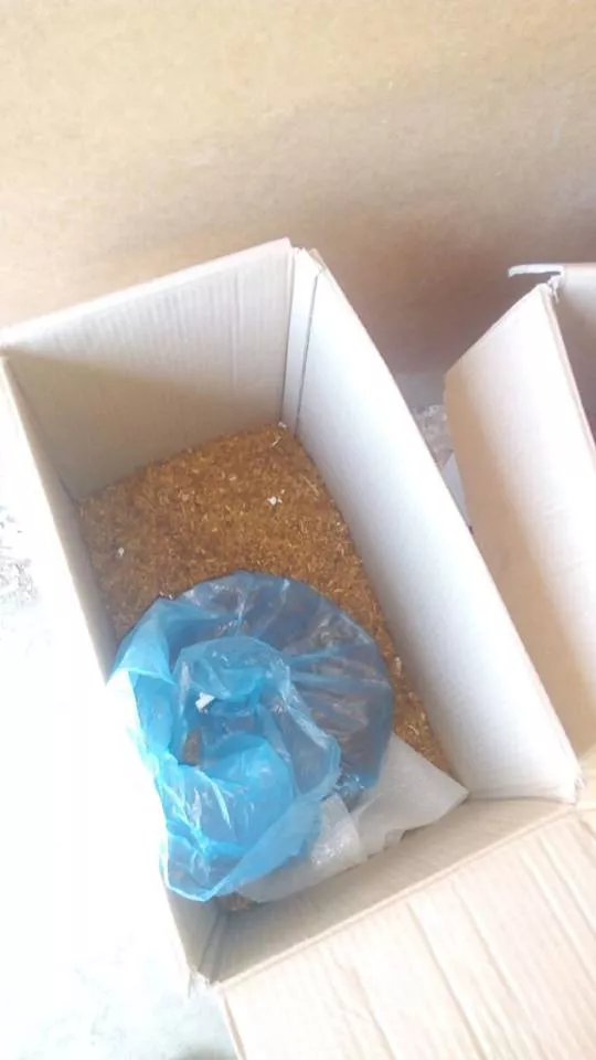 У Володимирі-Волинському виявлено цех, де незаконно виготовляли цигарки 2