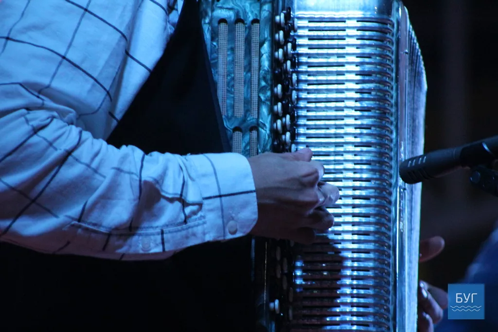 День міста у Володимирі-Волинському: якою була музична сцена 55