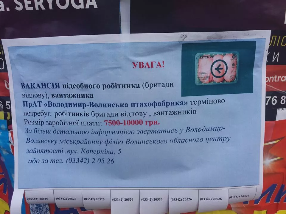 У Володимирі-Волинському використовують новий метод для швидкого укомплектування вакансій 2