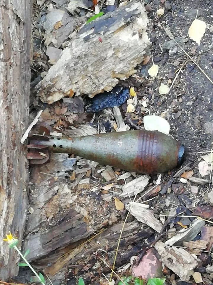 У житловому кварталі в Сумах знайшли мінометну міну часів Другої світової 1