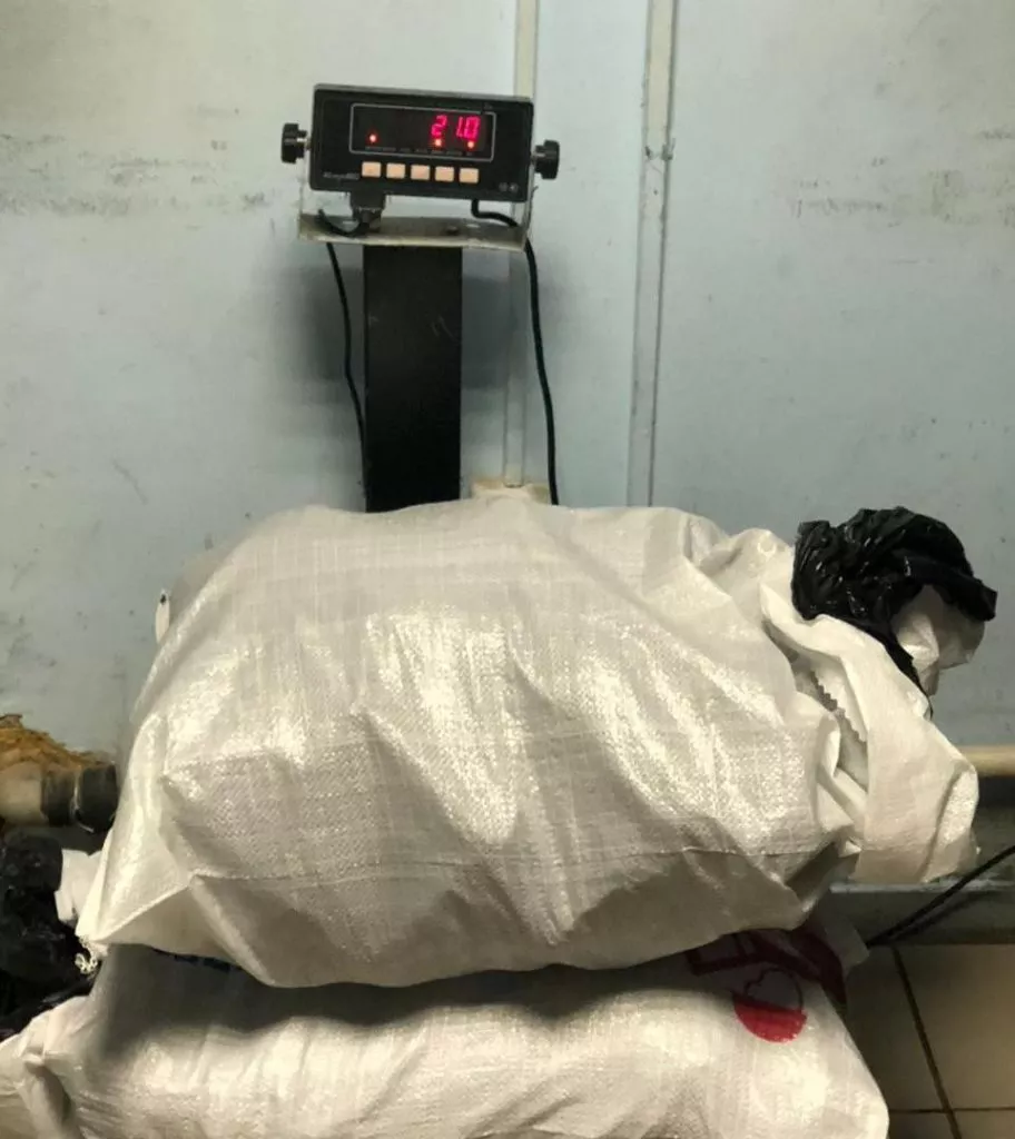 На Харківщині пес не дав українцеві вивезти до Росії 21 кілограм наркотиків 2