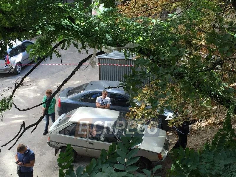 У Києві безхатько знайшов пакет із мертвим немовлям 2