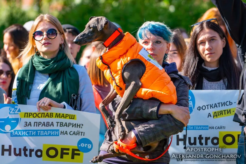У Києві пройшов масштабний марш за права тварин 7