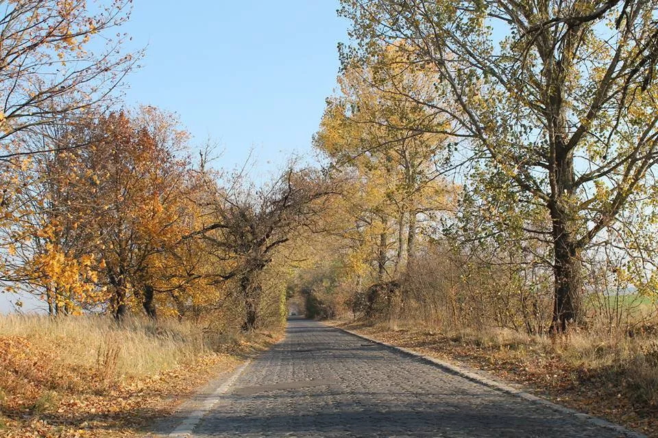 Олицький замок, що у Ківерцівському районі, отримав шанс на реконструкцію 2