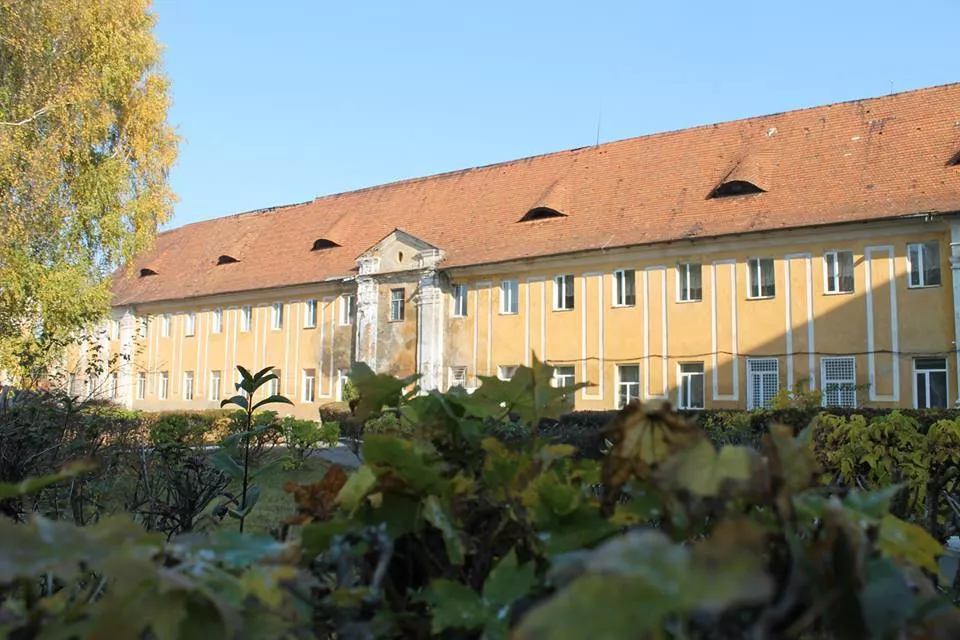 Олицький замок, що у Ківерцівському районі, отримав шанс на реконструкцію 3