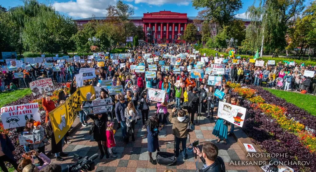 У Києві пройшов масштабний марш за права тварин 6