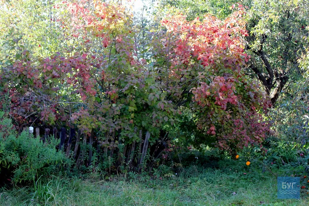 Безлюдне село Оваднівської ОТГ - Гевин 13