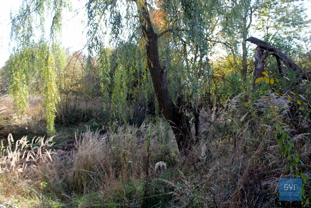 Безлюдне село Оваднівської ОТГ - Гевин 11