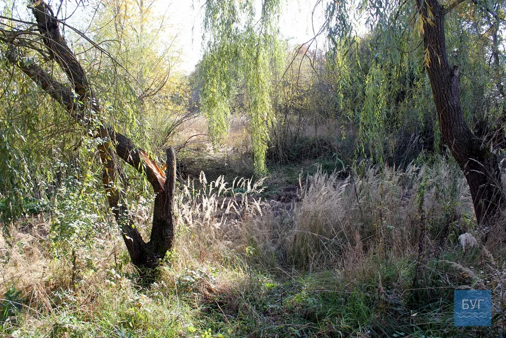 Безлюдне село Оваднівської ОТГ - Гевин 10