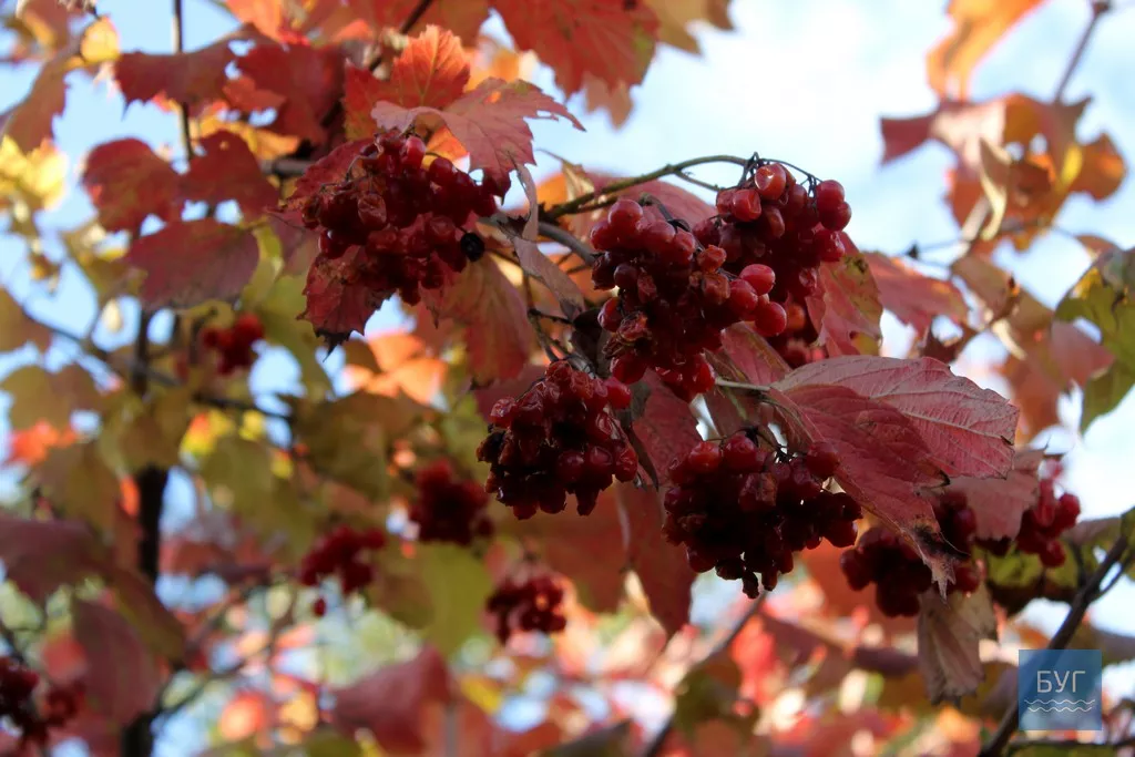 Безлюдне село Оваднівської ОТГ - Гевин 5