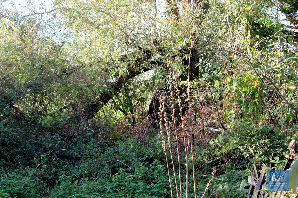 Безлюдне село Оваднівської ОТГ - Гевин 15