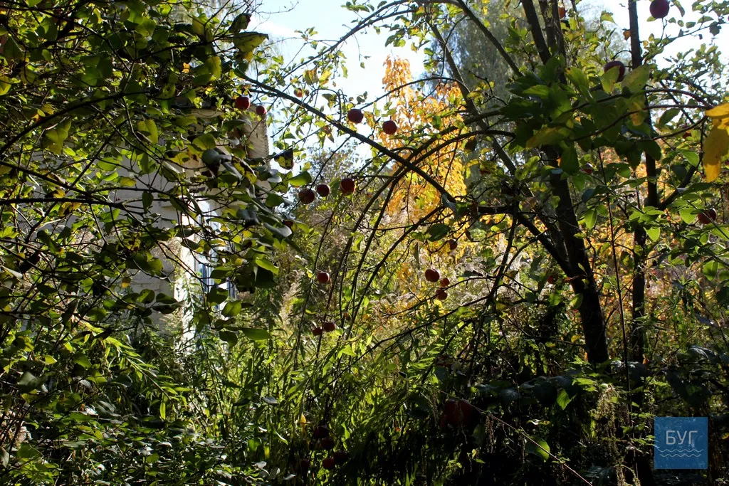 Безлюдне село Оваднівської ОТГ - Гевин 19