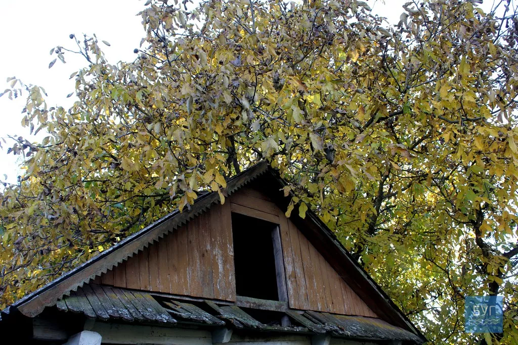 Безлюдне село Оваднівської ОТГ - Гевин 22