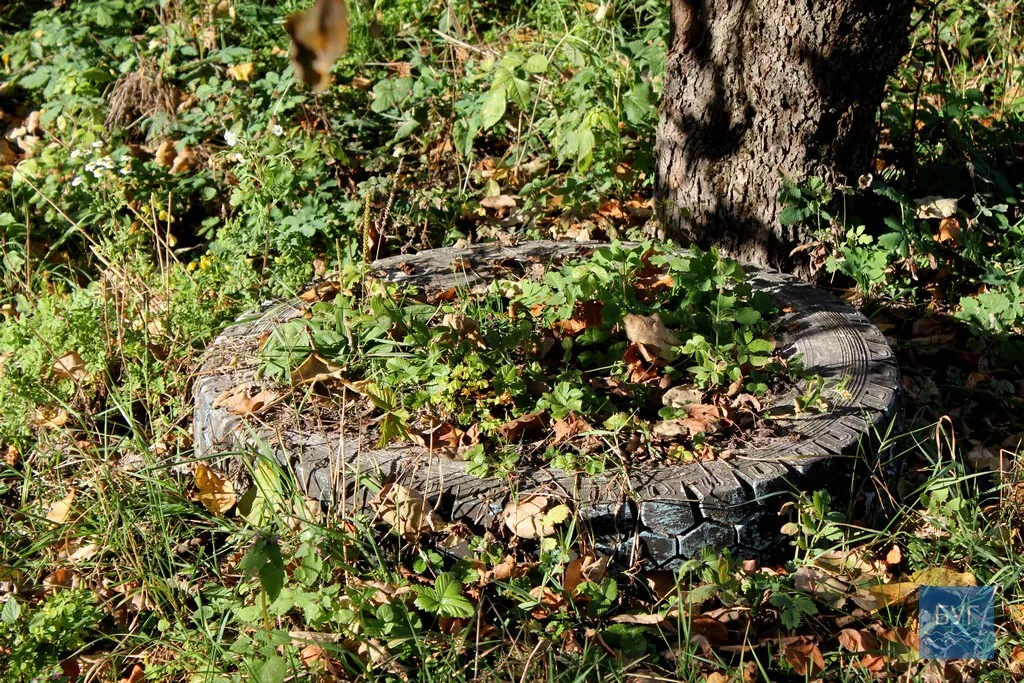 Безлюдне село Оваднівської ОТГ - Гевин 26