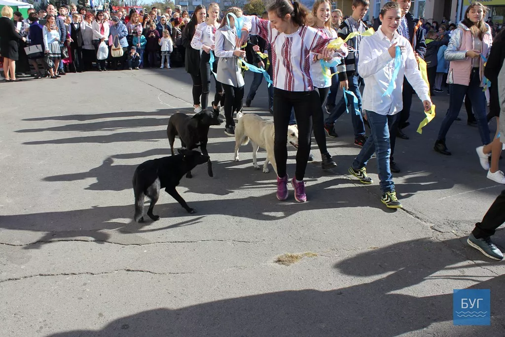 У Володимирі-Волинському відсвяткували День Захисника 35