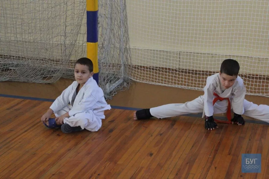 Відкритий чемпіонат Волинської області з Кіокушин-Кан карате-до відбувся у Володимирі-Волинському 5