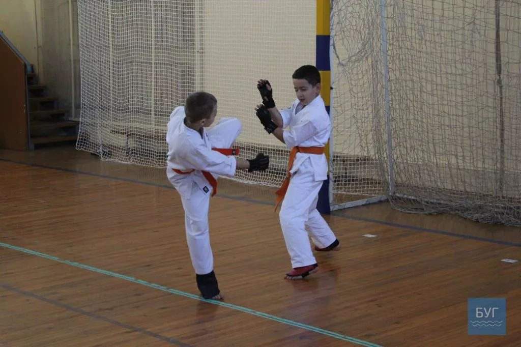 Відкритий чемпіонат Волинської області з Кіокушин-Кан карате-до відбувся у Володимирі-Волинському 16