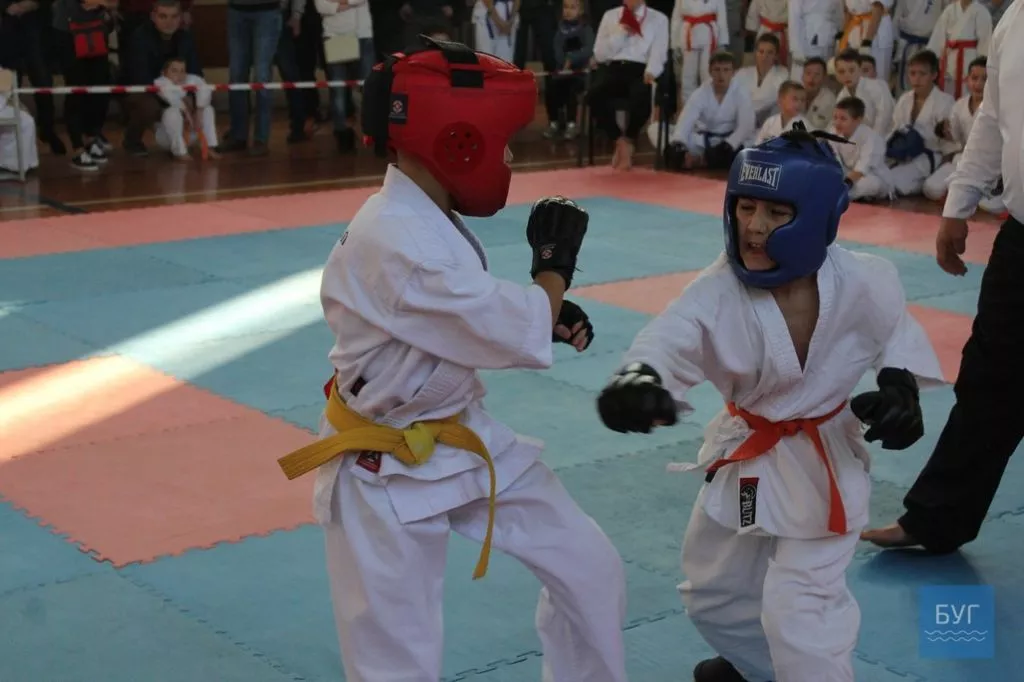 Відкритий чемпіонат Волинської області з Кіокушин-Кан карате-до відбувся у Володимирі-Волинському 25
