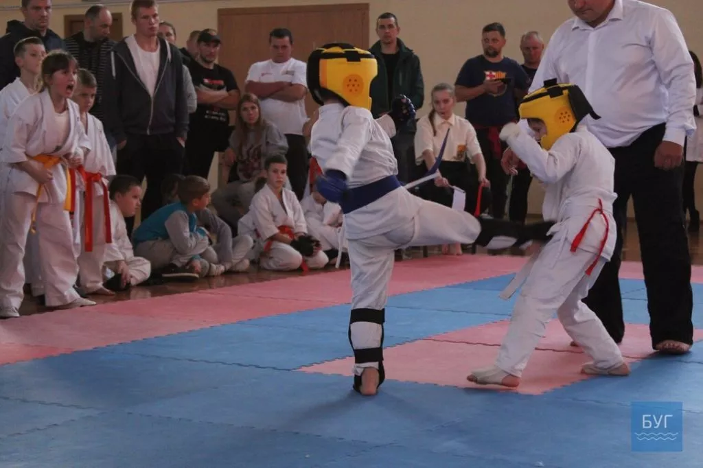 Відкритий чемпіонат Волинської області з Кіокушин-Кан карате-до відбувся у Володимирі-Волинському 49