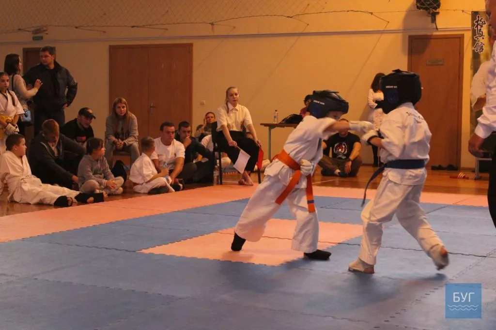 Відкритий чемпіонат Волинської області з Кіокушин-Кан карате-до відбувся у Володимирі-Волинському 58