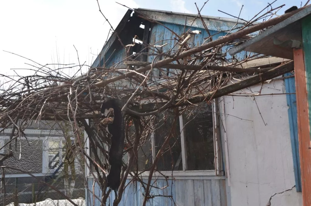 «Побачив дим над хатою, а далі все - як у кіно»: у Вербі рятувальник визволив односельчанку від вогню 8