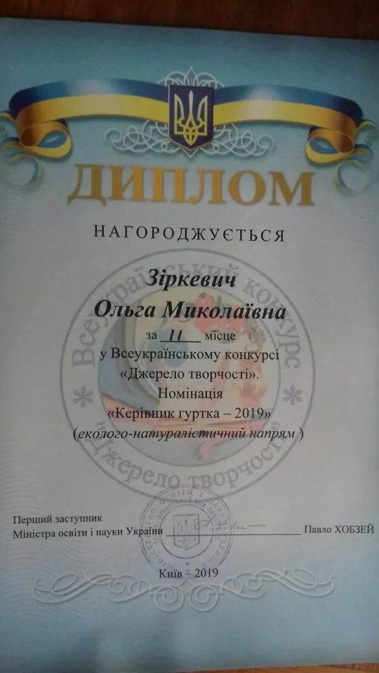 Педагог з Нововолинська посіла призове місце на Всеукраїнському конкурсі 6