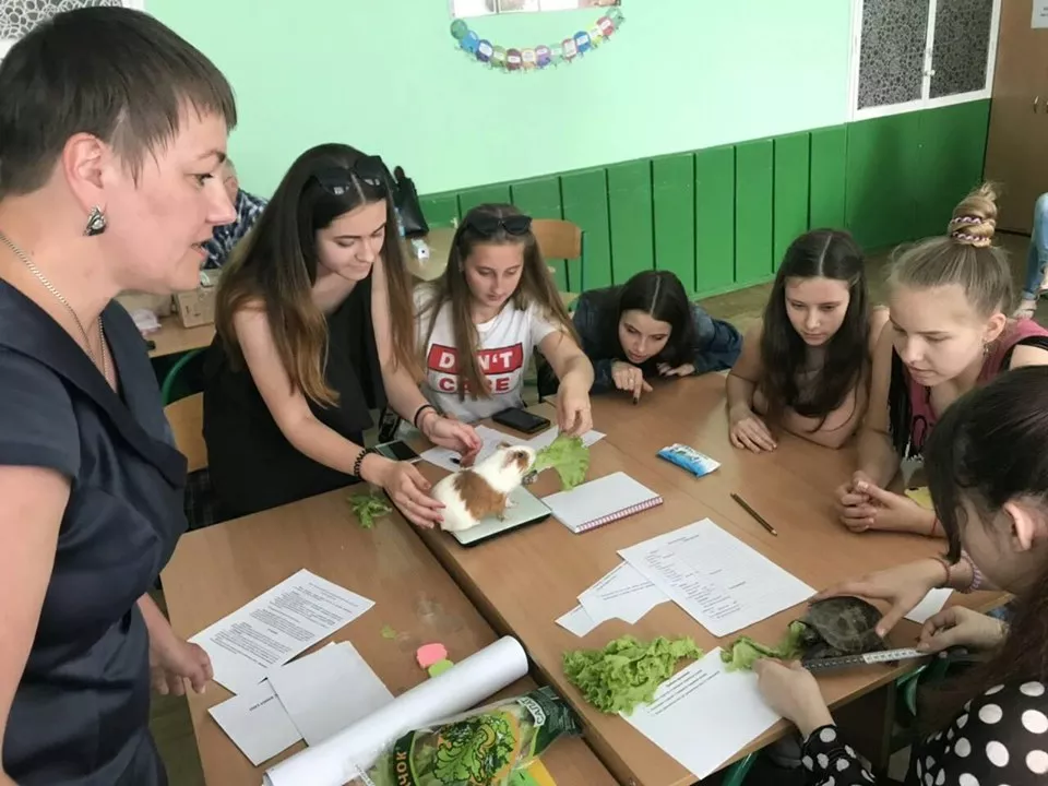 Педагог з Нововолинська посіла призове місце на Всеукраїнському конкурсі 3