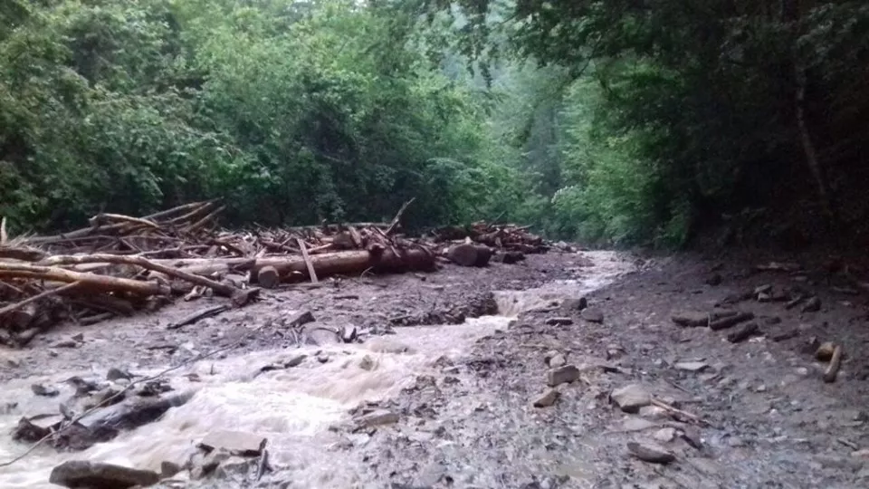 На Закарпатті вантажівка зірвалась у річку: п'ятеро загиблих 2