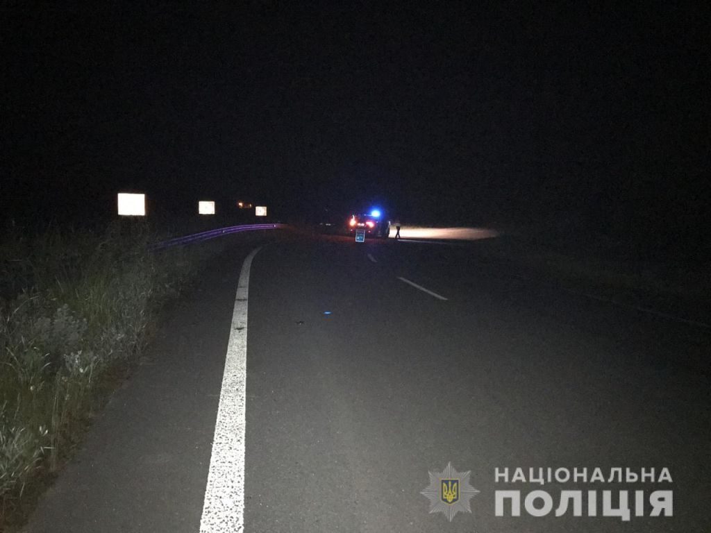 На Житомирщині маршрутка «Київ-Луцьк» з'їхала у кювет і перекинулася 1