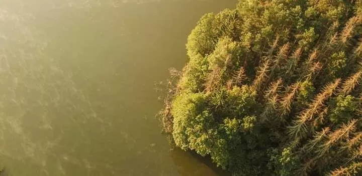 Про Волинь зніматимуть документальний фільм - режисер Олександр Стеренчук 5