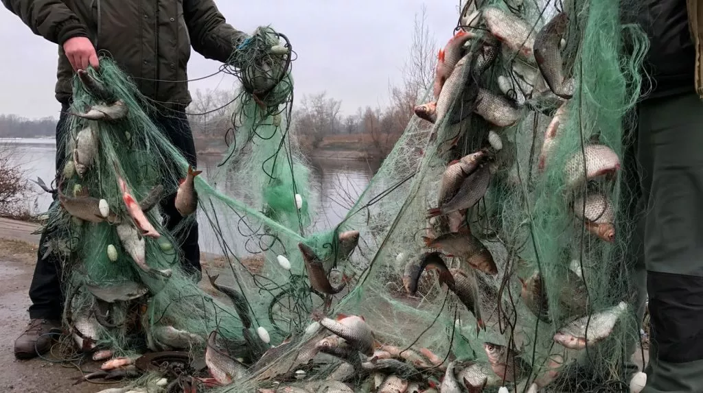 Екологічні проблеми України: як з ними боротися 20