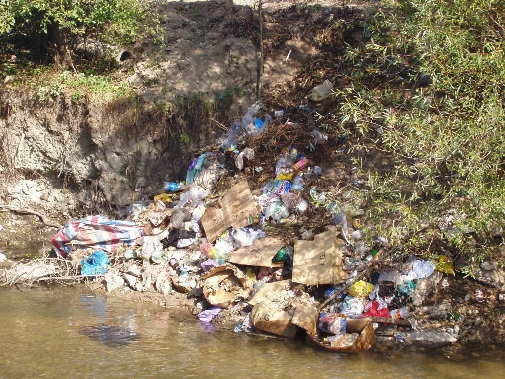 Екологічні проблеми України: як з ними боротися 21