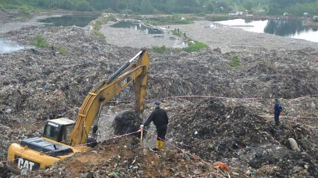 Екологічні проблеми України: як з ними боротися 12