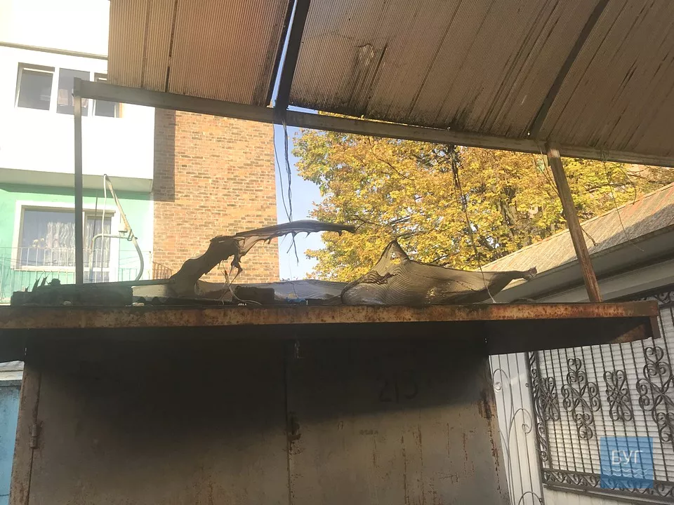 Жінка перетворила ринок у Нововолинську на гадюшник: місяцями на ситуацію не реагують 8