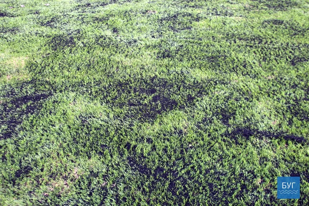 Завершують ремонт покриття спортивного майданчика на стадіоні у Володимирі-Волинському 4