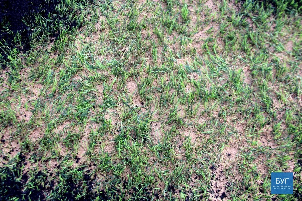 Завершують ремонт покриття спортивного майданчика на стадіоні у Володимирі-Волинському 1