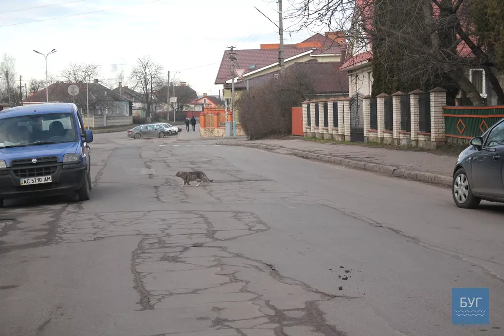Інспектор Ляля: Водії, обережно. На Драгоманова у Володимирі-Волинському величезна вибоїна 5
