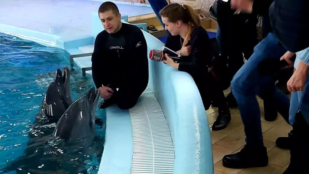 У Трускавці ветеранів російсько-української війни офіційно лікуватимуть за допомогою дельфінів 1