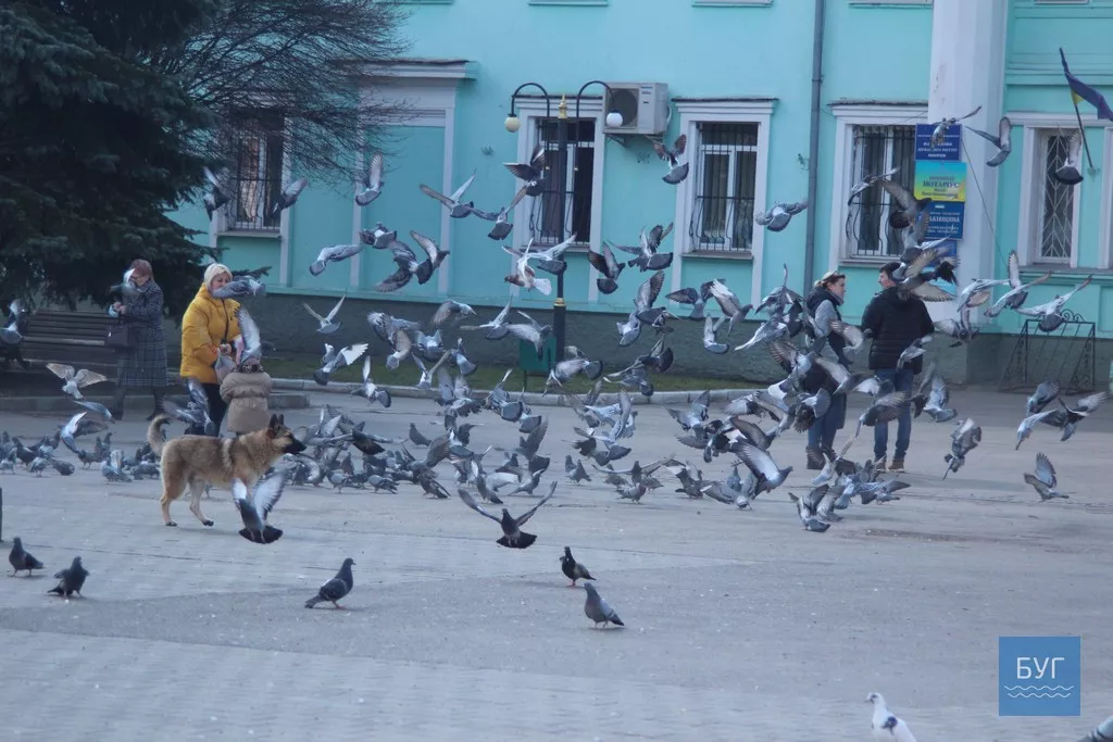 Йшов 6-й день карантину: як живе Нововолинськ 20