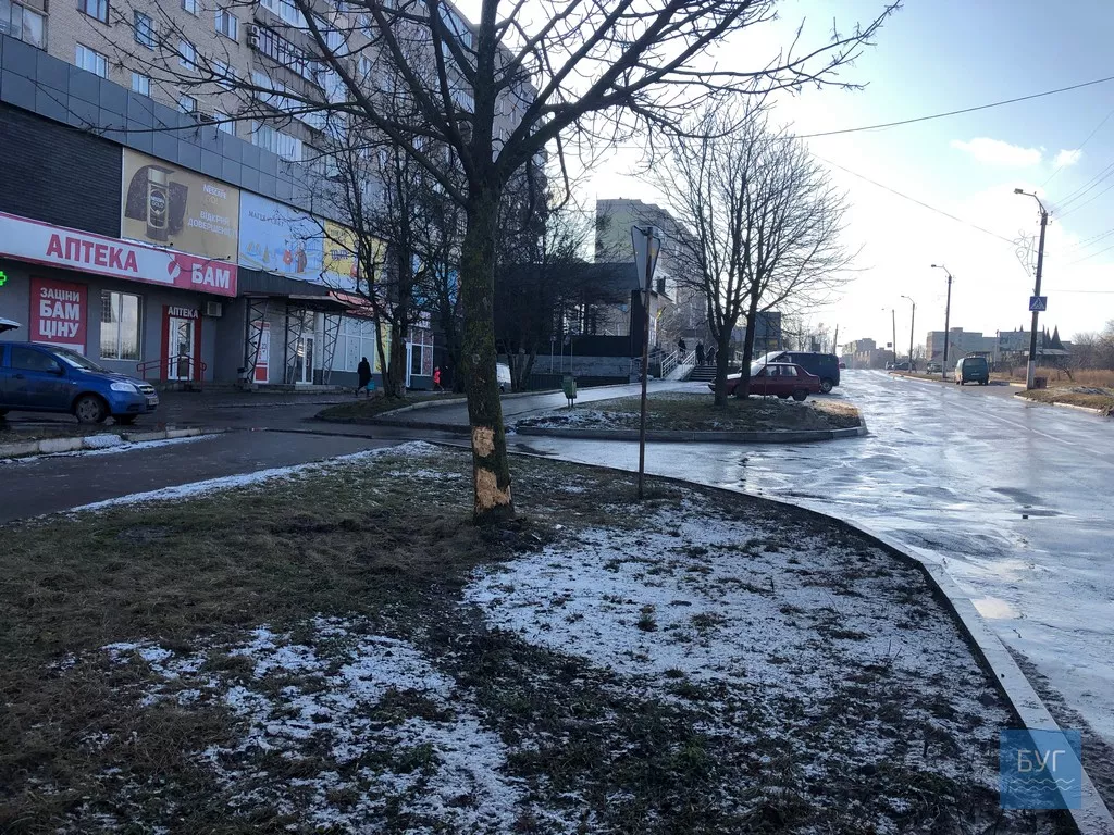 П'яному водію, який у Нововолинську біля АТБ в'їхав у дерево, призначили штраф 2