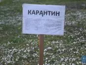 карантин